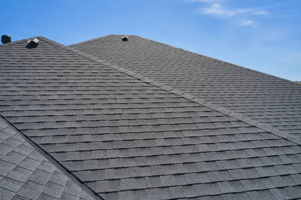 Best Roof Ventilation Installation  in USA